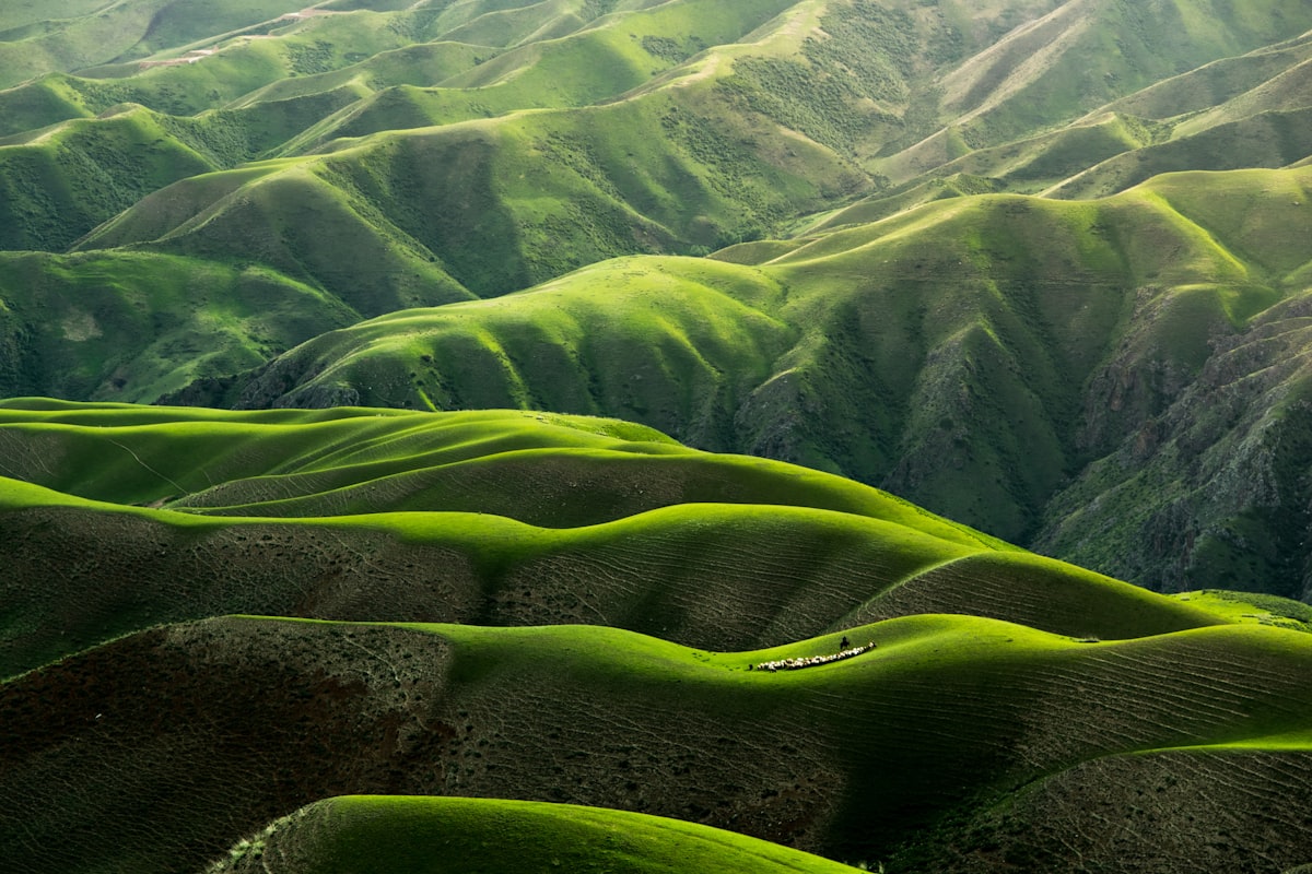 Terreno en Nordelta - Tigre